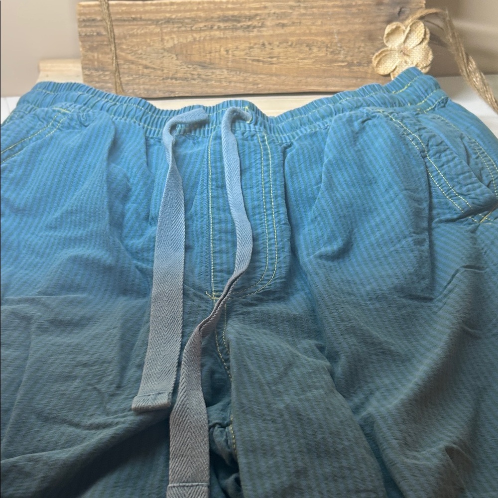 Urban Outfitters Blue Ankle Pants sku8
